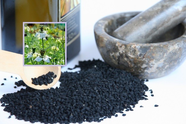 16 مزیت زیبایی فوق العاده روغن سیاه دانه برای مو و پوست