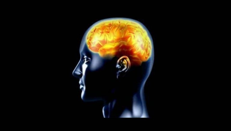 راه های اثبات شده برای تقویت حافظه خود