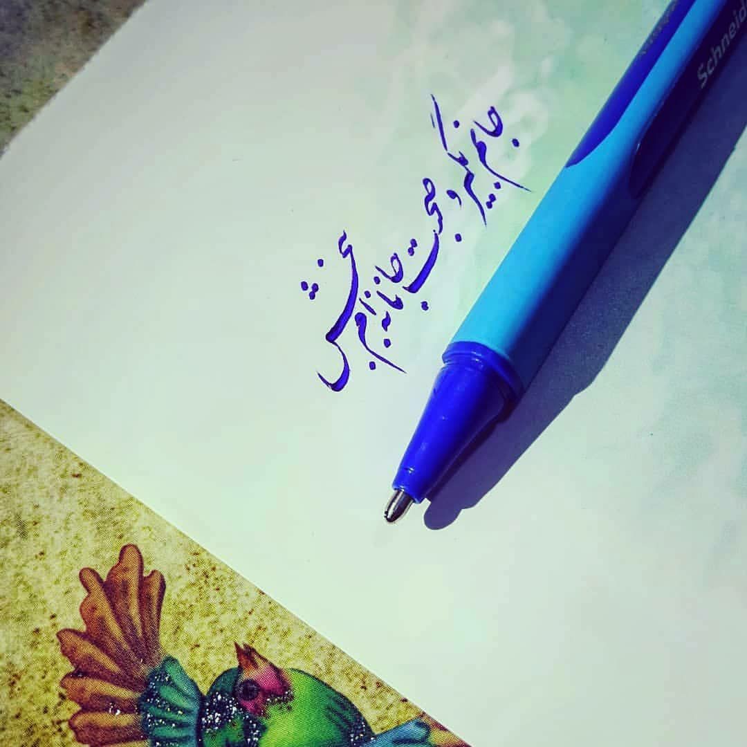 نام حبیب هست و نشان حبیب نیست