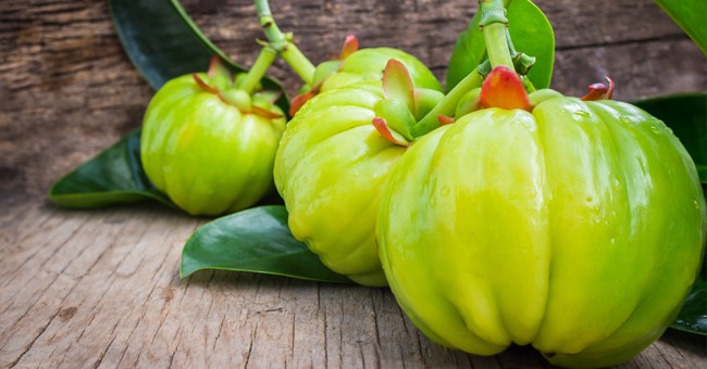  افزایش سوخت و ساز بدن باگارسینیا کامبوجیا