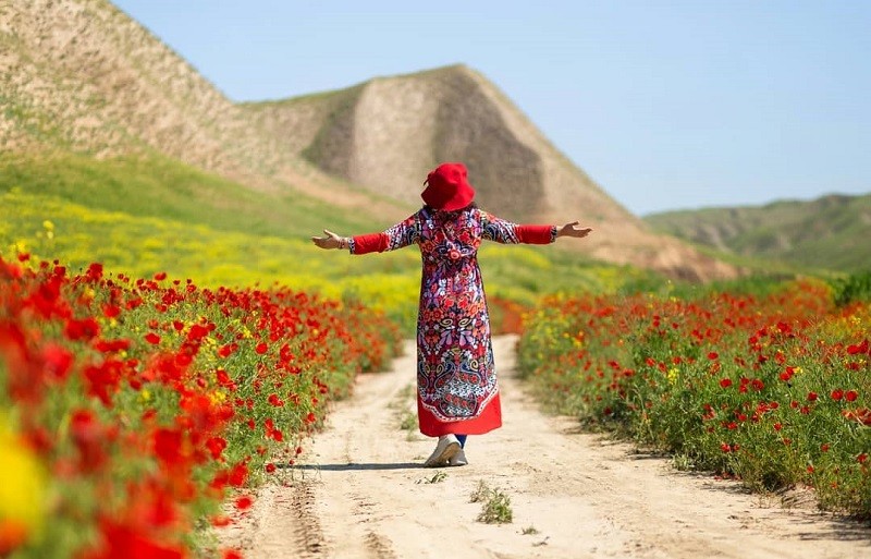 خنده جام می و زلف گره گیر نگار
