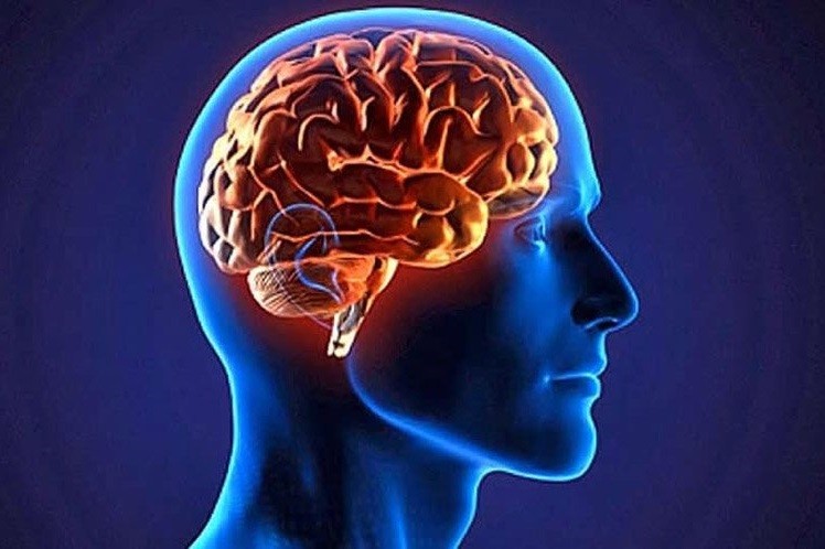 12 فرمول برای جوان سازی مغز