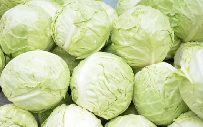  18 فواید خوردن کلم برای سلامتی ، پوست و مو