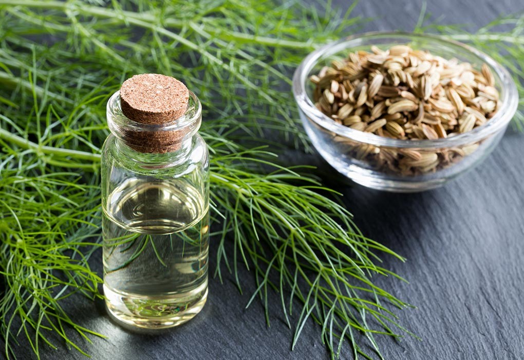 استفاده و فواید روغن و دانه رازیانه 