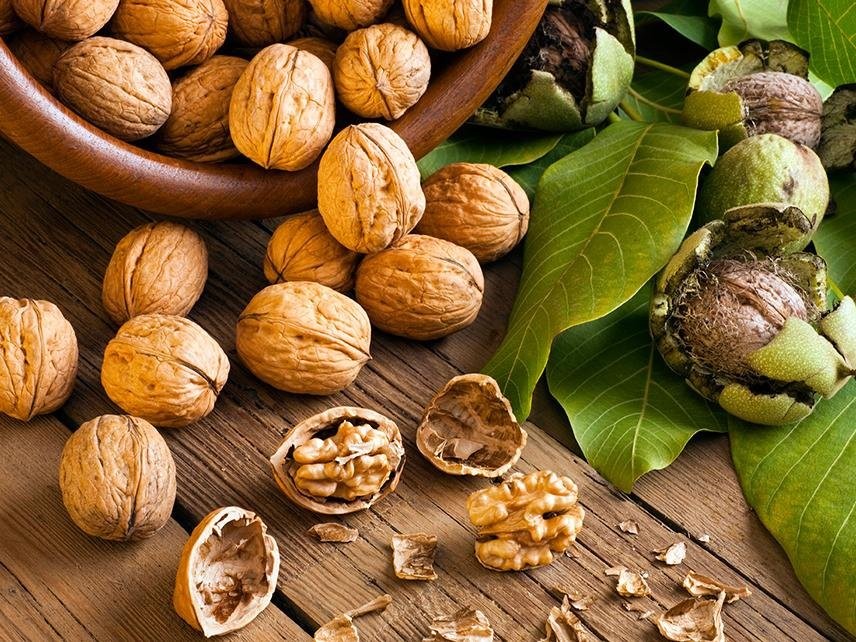 سالمترین غذای جهان وحقایق تغذیه ای و فواید گردو