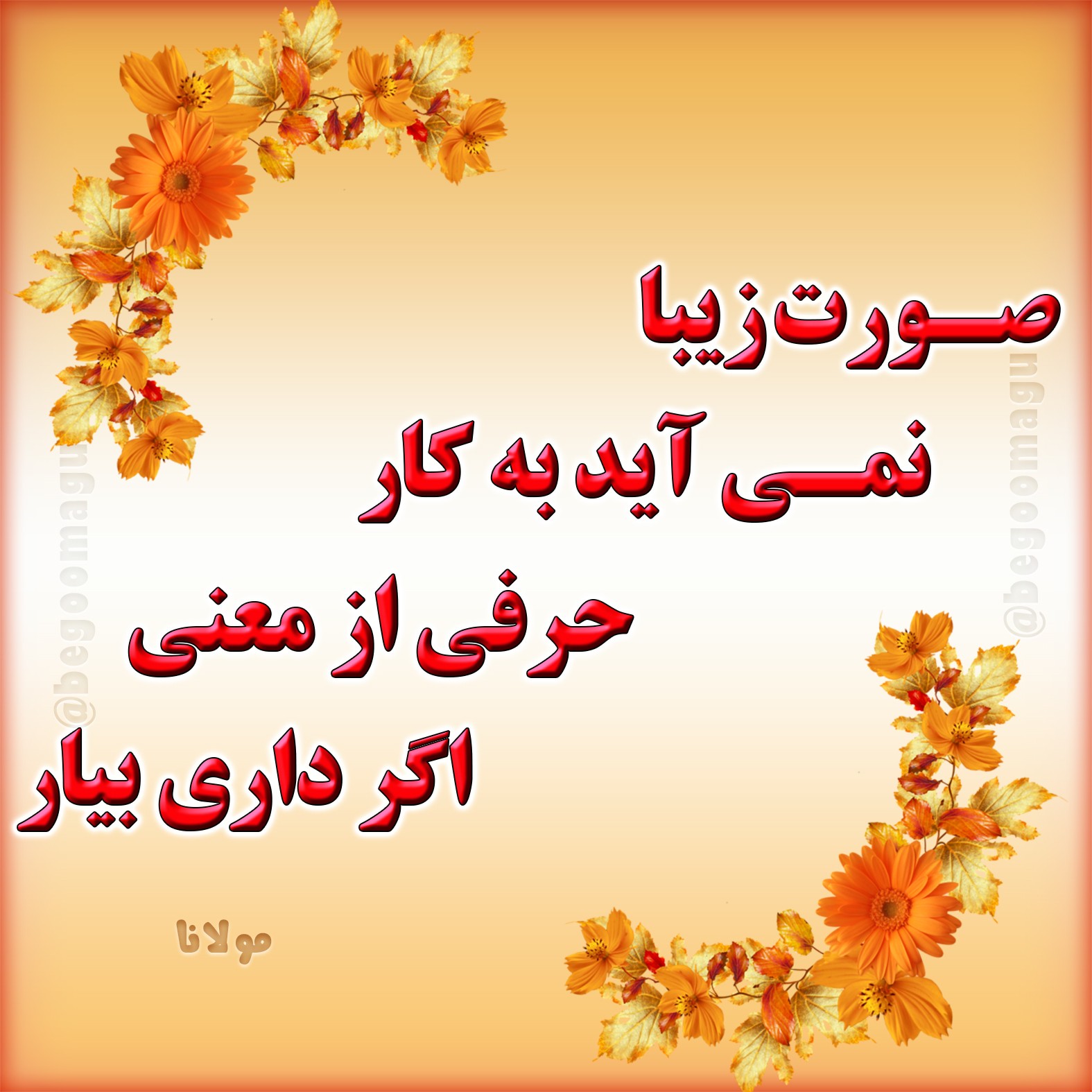 صورت زیبا