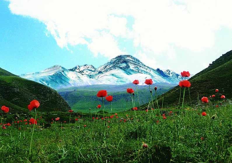 معرفی زیباترین کوههای ایران