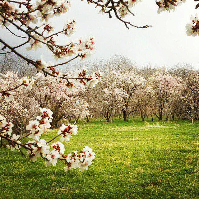 معرفی جاذبه های گردشگری کاشان - 2