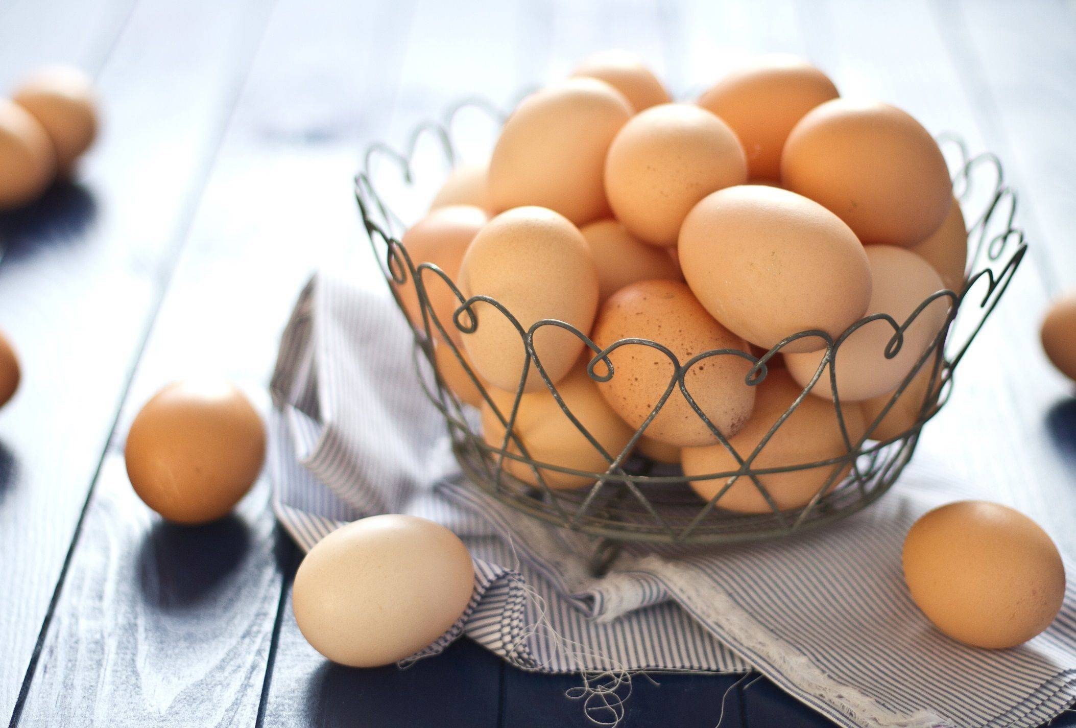 دانستنی ها راجع به تخم مرغ