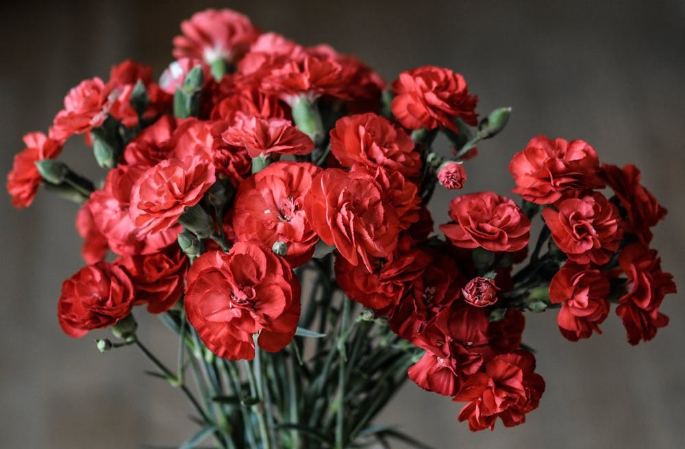 گل در بر و می در کف و معشوق به کام است