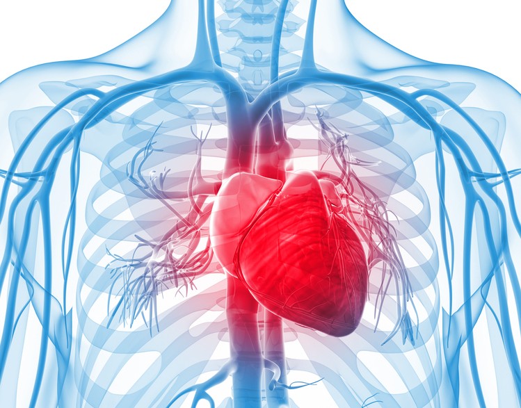 شوک کاردیوژنیک چگونه تشخیص داده می شود؟