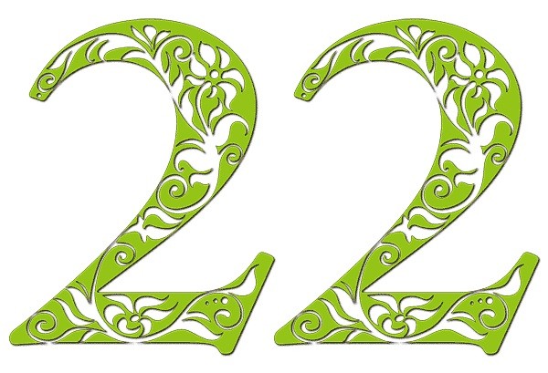 معنای عدد زندگی - 22