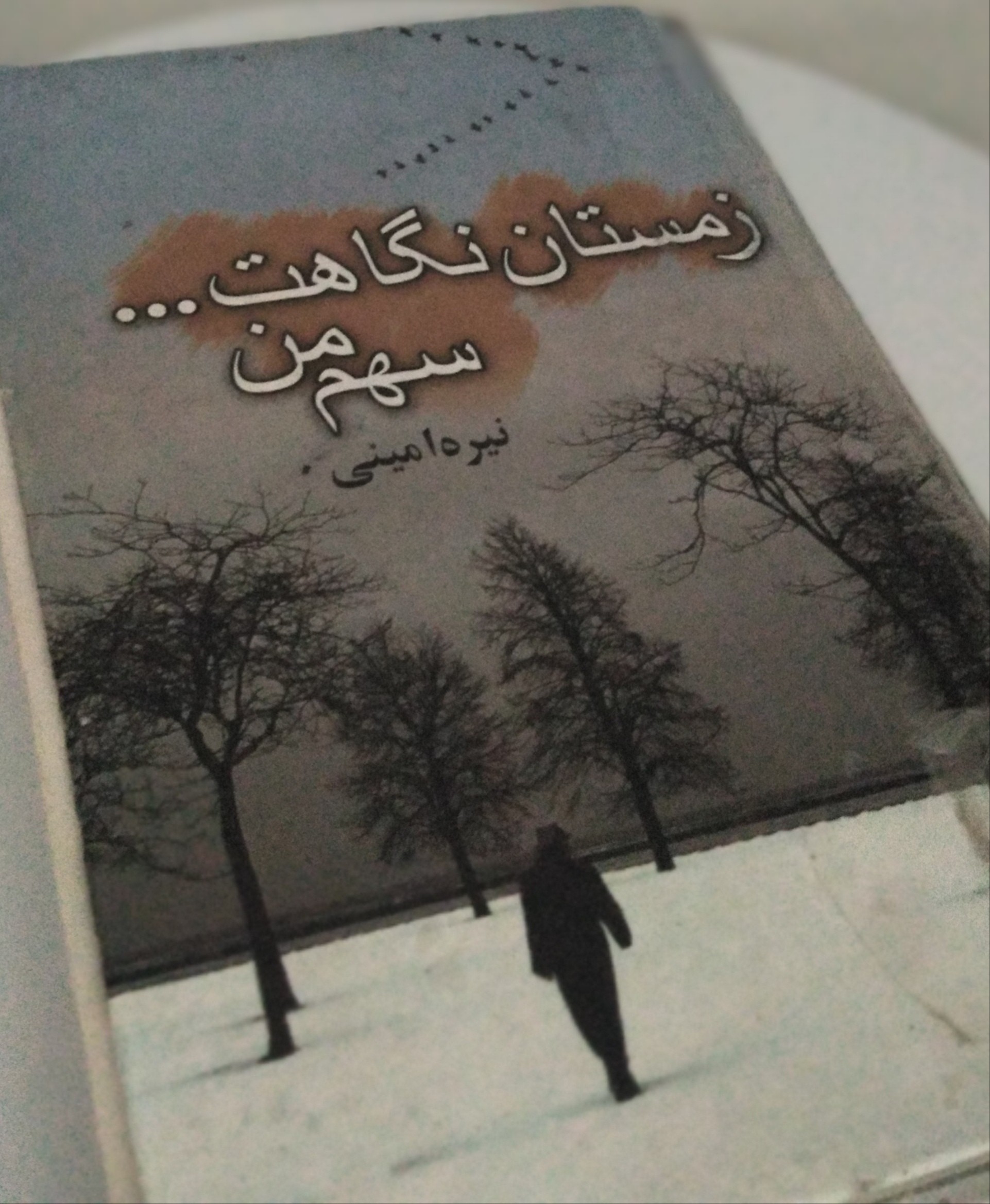 کتاب زمستان نگاهت سهم من.. 