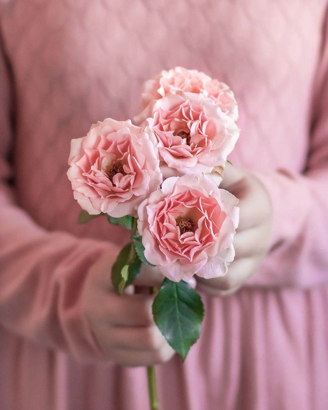 پیام تبریک تولد مهر ماهی