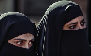 آمار سازی ایسپا برای شبکه نمایش خانگی 