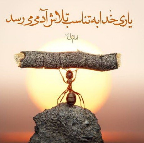 یاری خدا و تلاش انسان