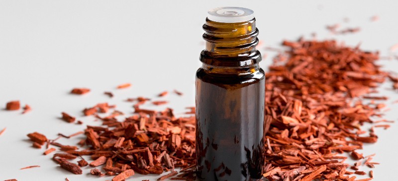 فواید روغن چوب صندل بر روی مغز و بدن چیست؟