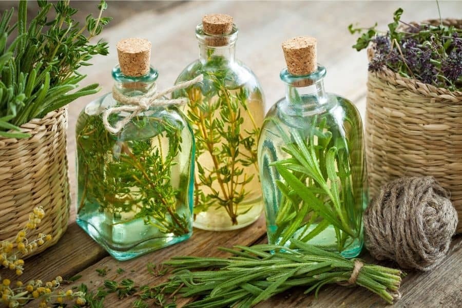 فواید روغن رزماری چیست و چگونه از آن استفاده می کنید؟