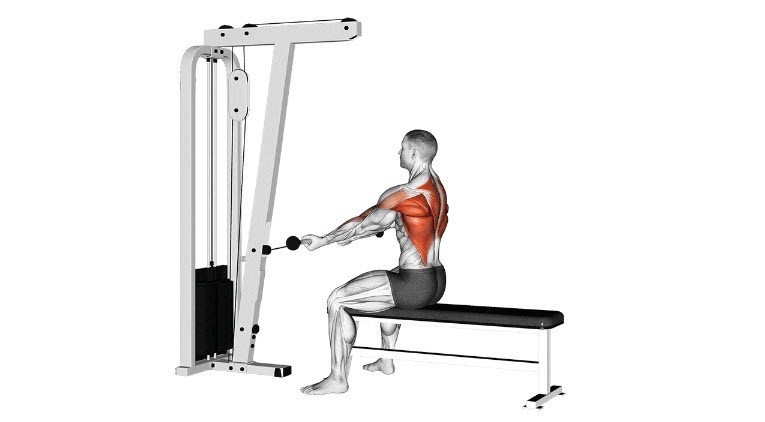 5 حرکت انفجاری جلوبازو با سیمکش