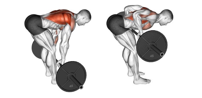 نحوه اجرای حرکت زیر بغل هالتر خم + حرکات جایگزین