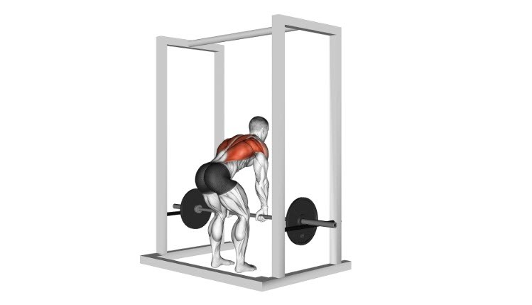 نحوه اجرای حرکت زیر بغل هالتر خم + حرکات جایگزین + اشتباهات رایج