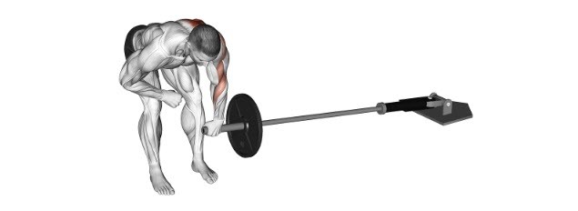 نحوه اجرای حرکت زیر بغل هالتر خم + حرکات جایگزین + اشتباهات رایج