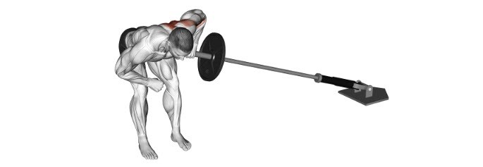 نحوه اجرای حرکت زیر بغل هالتر خم + حرکات جایگزین + اشتباهات رایج