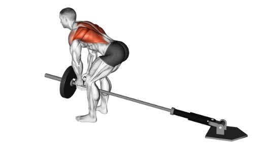 نحوه اجرای حرکت زیر بغل هالتر خم + انواع آن + حرکات جایگزین + اشتباهات رایج