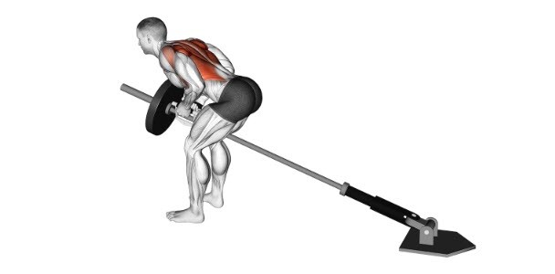 نحوه اجرای حرکت زیر بغل هالتر خم + انواع آن + حرکات جایگزین + اشتباهات رایج