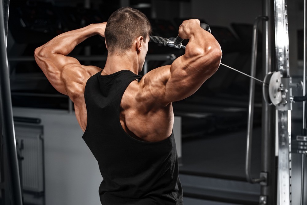 نحوه اجرای صحیح حرکت فیس پول + اشتباهات رایج + عضلات هدف