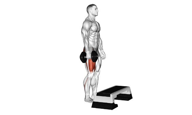 آموزش حرکت استپ آپ + عضلات درگیر در آن+ حرکات جایگزین