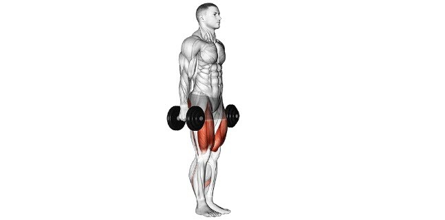 آموزش حرکت استپ آپ + عضلات درگیر در آن+ حرکات جایگزین