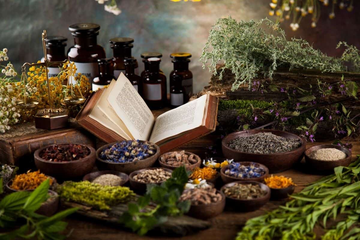 گیاهان دارویی که می توانید در باغچه خانه بکارید