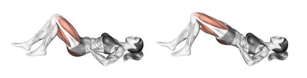 انواع پل باسن و مزایای اجرای هرکدام همراه با آناتومی کامل عضله سرینی