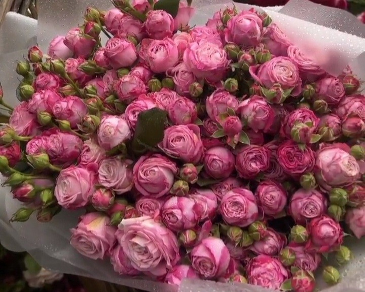 گفتند خلایق که تویی یوسف ثانی