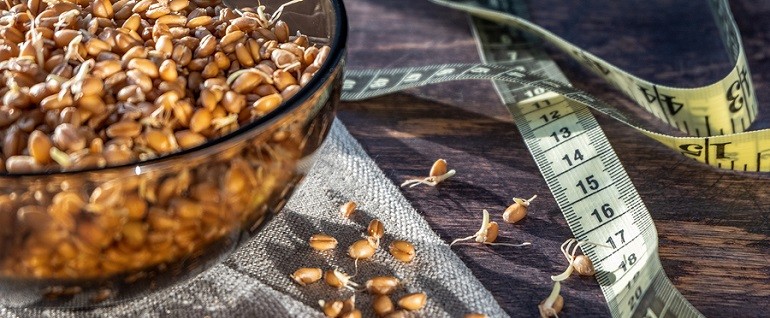 جوانه گندم چیست و چرا باید آن را بخورم؟
