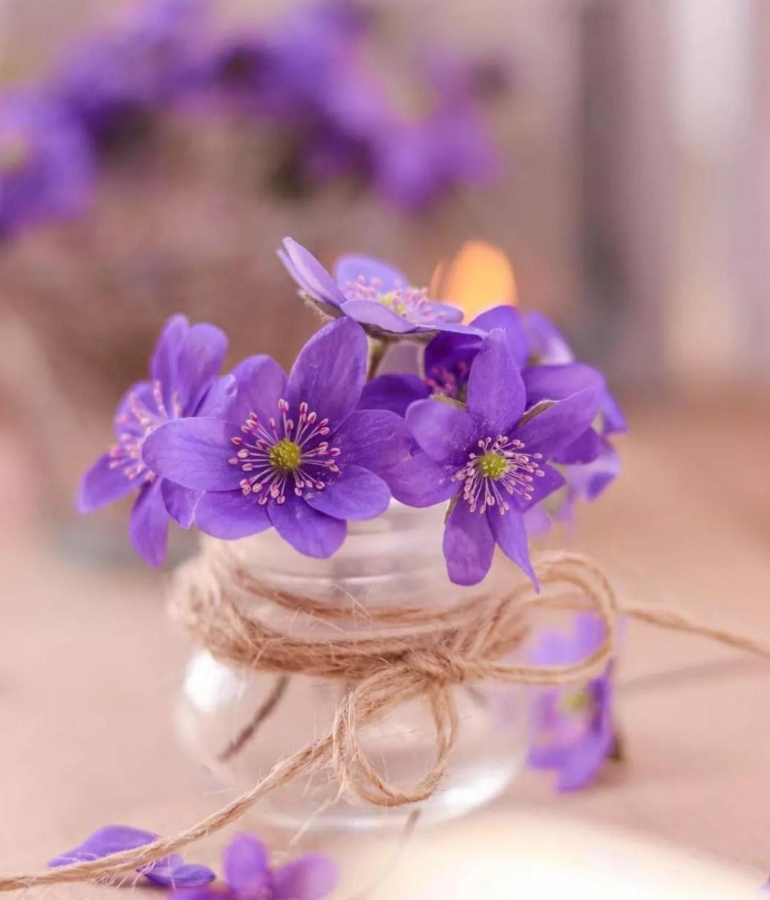 ای عاشقان ای عاشقان امروز ماییم و شما