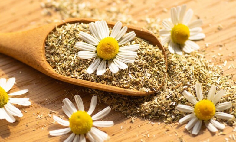 خواص فوق العاده بابونه برای مو