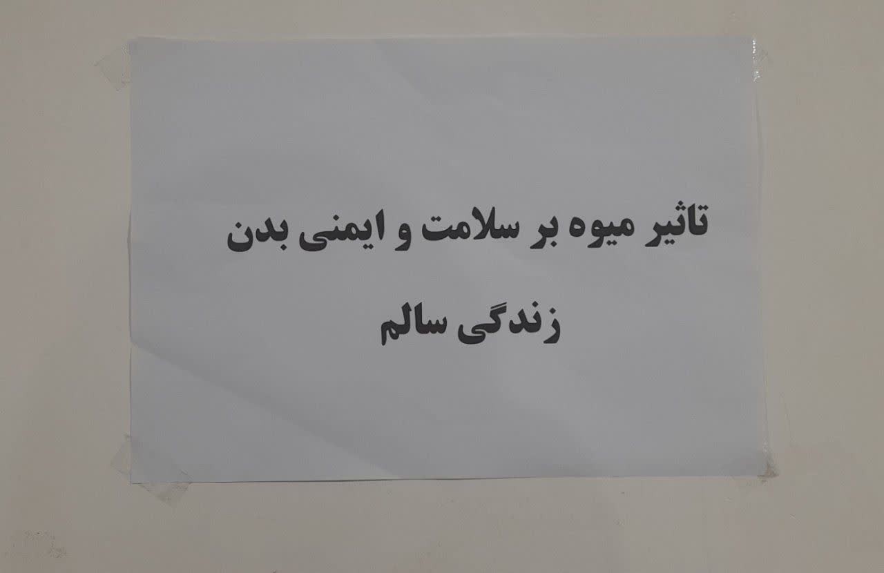  تأثیر میوه بر سلامت و ایمنی بدن