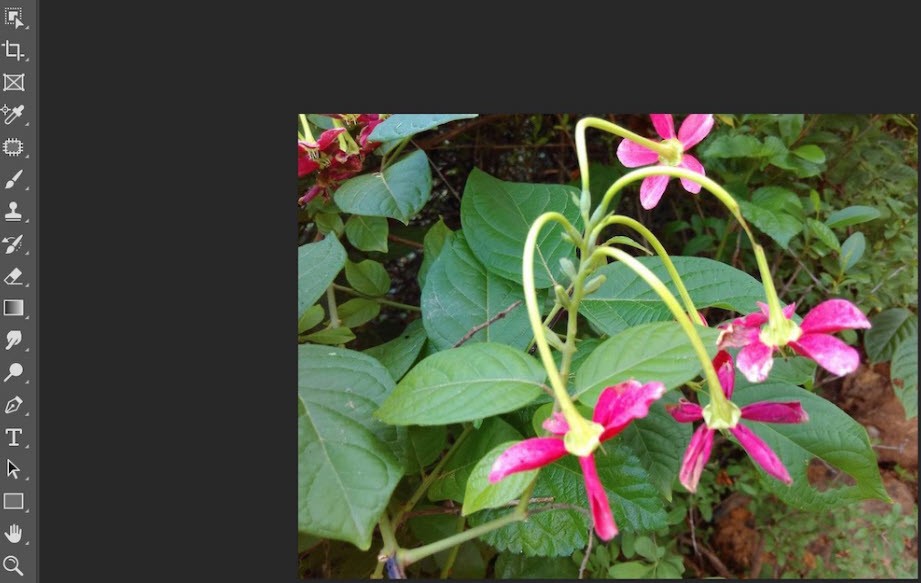 آموزش ابزارهای فتوشاپ برای مبتدیان!