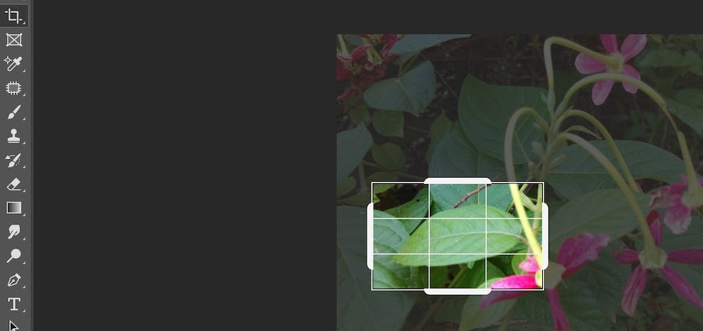 آموزش ابزارهای فتوشاپ برای مبتدیان!
