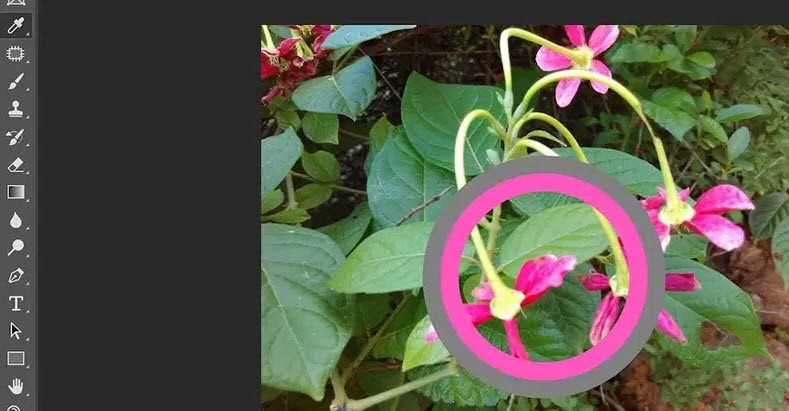آموزش ابزارهای فتوشاپ برای مبتدیان!