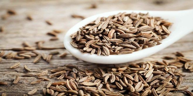 فواید زیره برای سلامتی!