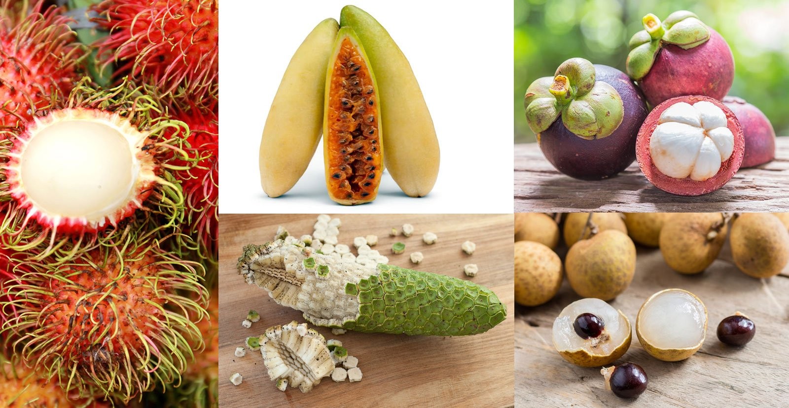 عجیب ترین و کمیاب ترین میوه کدام است؟
