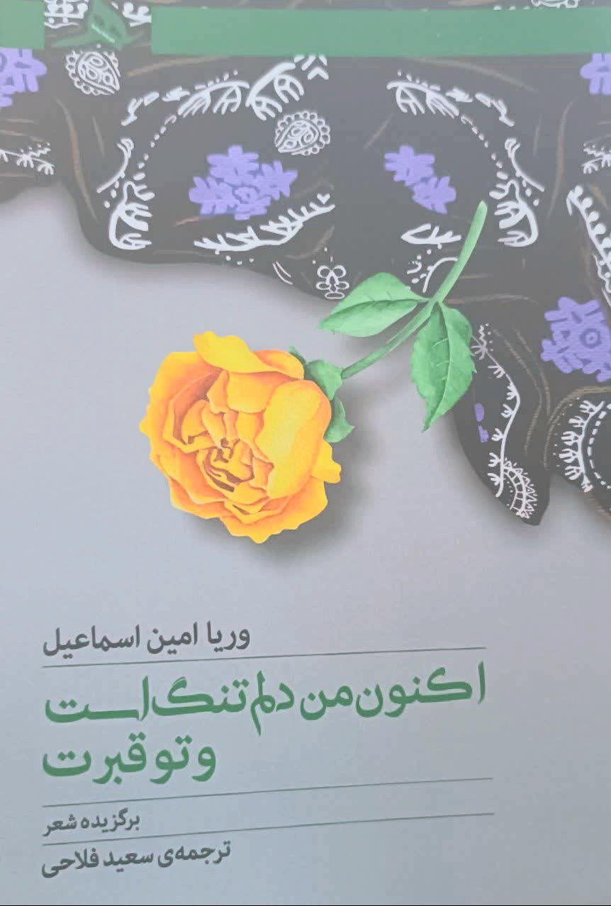 کتاب اکنون من دلم تنگ است و تو قبرت
