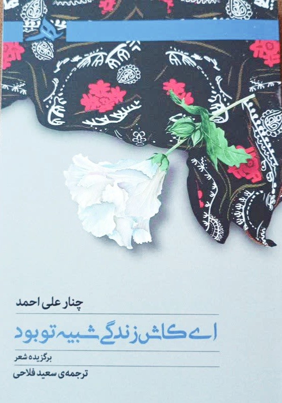 کتاب ای کاش زندگی شبیه تو بود منتشر شد
