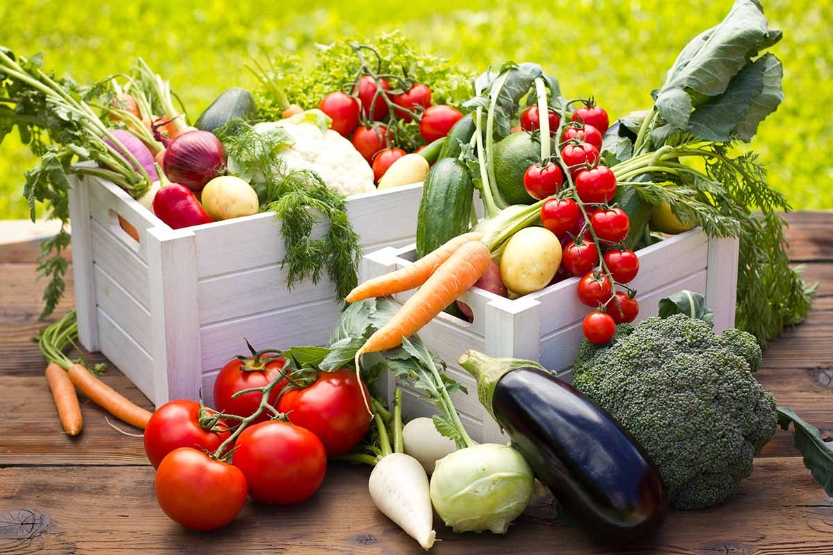 بهترین روش نگهداری سبزیجات تازه چیست؟