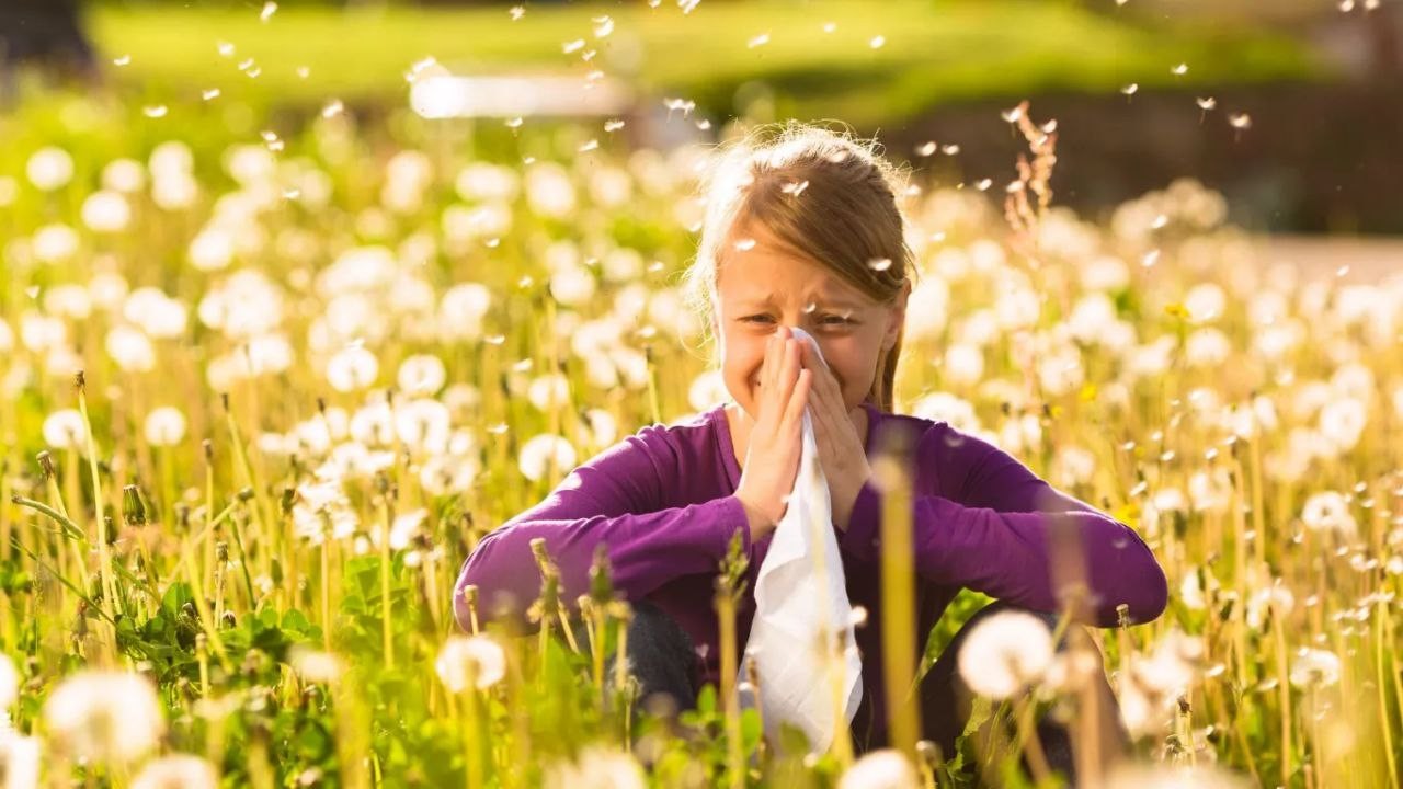 کدام گیاهان برای مبتلایان به تب یونجه بدترین هستند؟