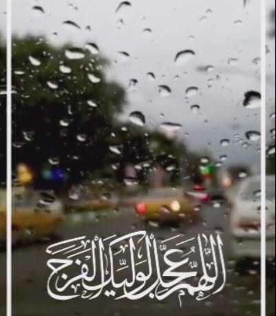 گل نرگس 