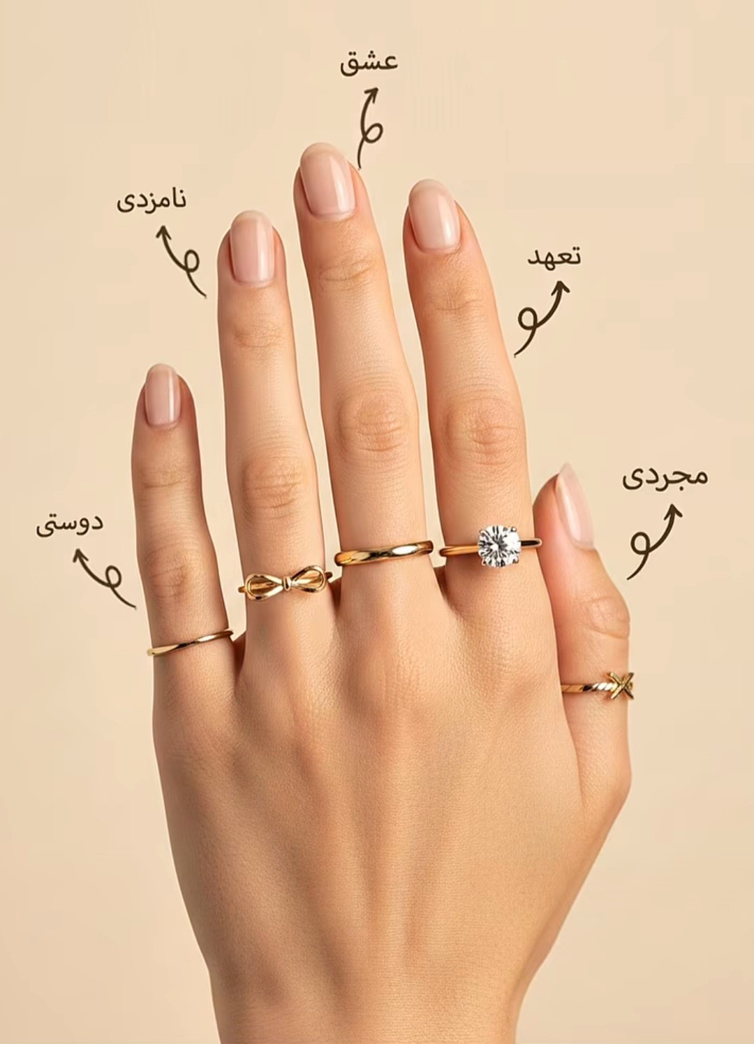 راهنمای قرار دادن حلقه در هر انگشت | هر انگشت چه معنایی دارد؟